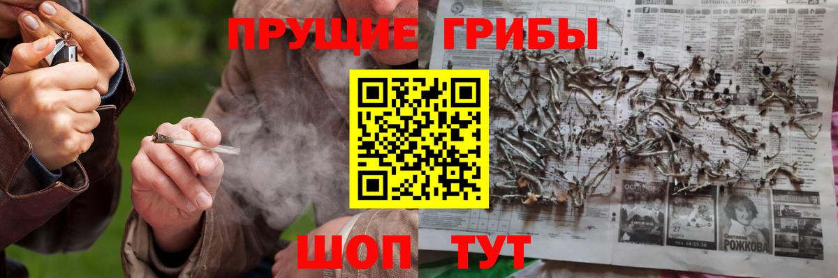 Химки  Галлюциногенные грибы мицелий  Вход с VPN 
