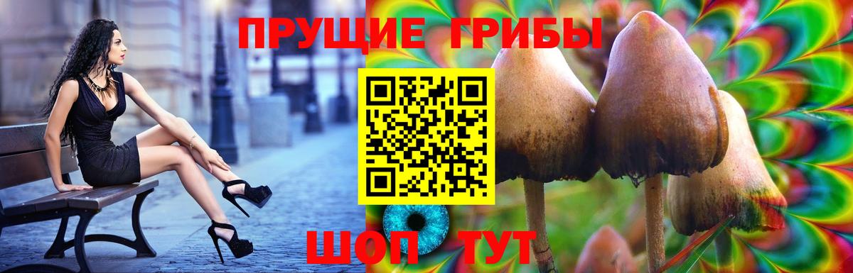 Псилоцибиновые грибы мухоморы Химки
